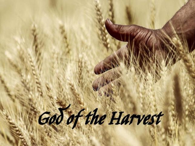 God of The Harvest