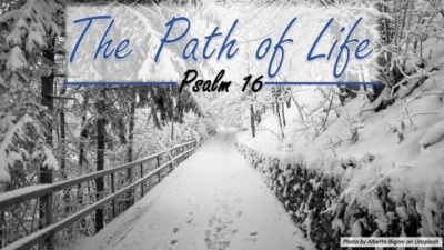 The Path of Life, Psalm 16:9-11 Image