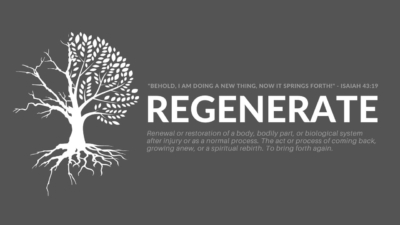 Regenerate: The Biblical Witness  Image